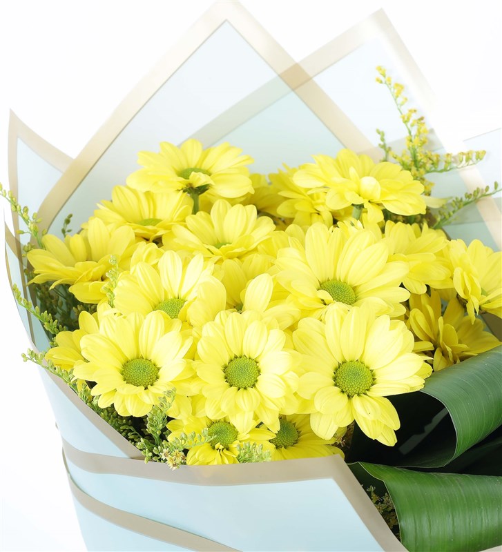 Sarı papatya çiçek buketi yakın çekim — solidago ve aspidistra yaprakları