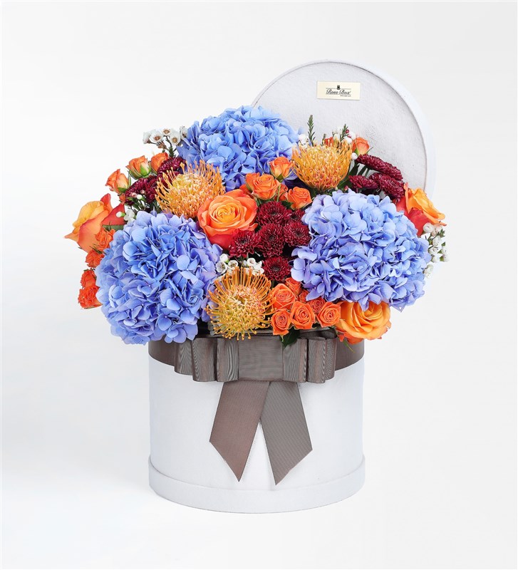 Wild Bloom XL In Box & Lure Chocolate By Swissôtel 24'lü