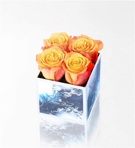 Aquamarin Mini Kutuda 4'Lü Turuncu Gül